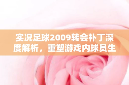 实况足球2009转会补丁深度解析图片