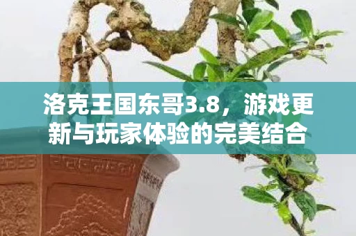 游戏更新与玩家体验的完美结合图片