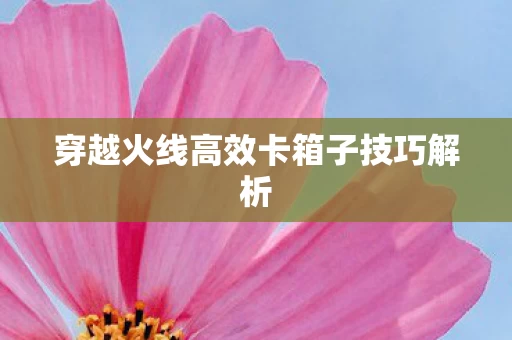 穿越火线高效卡箱子技巧解析图片