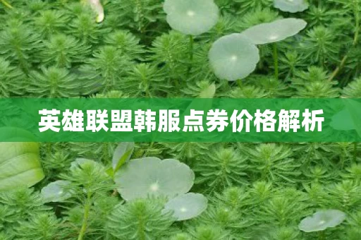 英雄联盟韩服点券价格解析图片