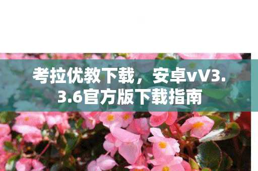 6官方版下载指南图片