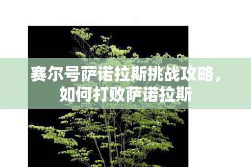 赛尔号萨诺拉斯挑战攻略图片