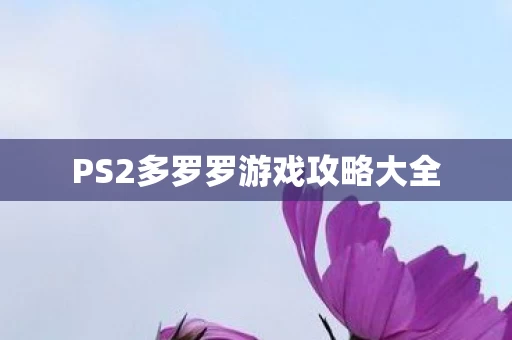 PS2多罗罗游戏攻略大全图片