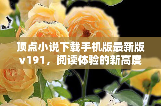 顶点小说下载手机版最新版v191图片