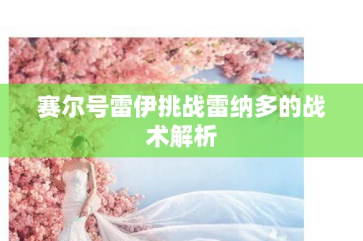 赛尔号雷伊挑战雷纳多的战术解析图片