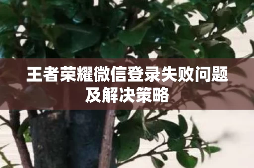 王者荣耀微信登录失败问题及解决策略图片