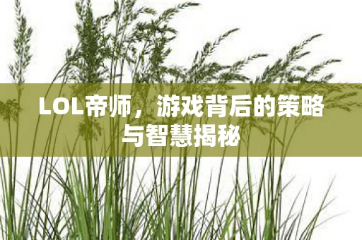 游戏背后的策略与智慧揭秘图片