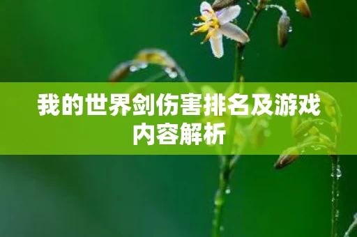 我的世界剑伤害排名及游戏内容解析图片
