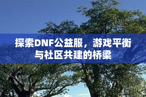 游戏平衡与社区共建的桥梁图片
