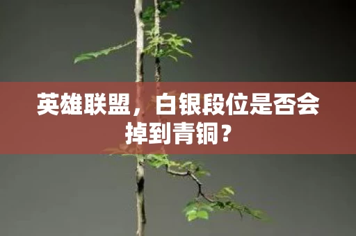 白银段位是否会掉到青铜图片