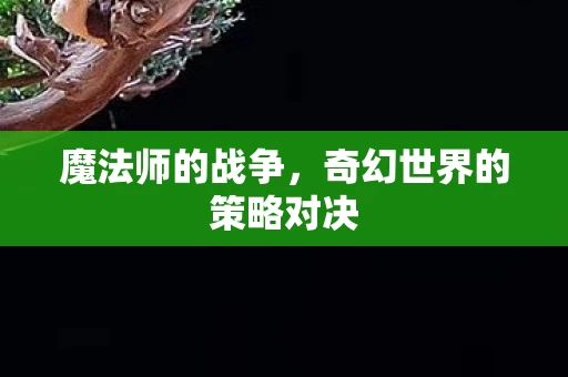 奇幻世界的策略对决图片