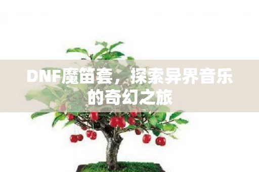 探索异界音乐的奇幻之旅图片