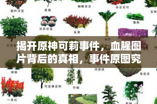 事件原图究竟在哪里看图片
