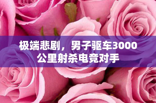 男子驱车3000公里射杀电竞对手图片