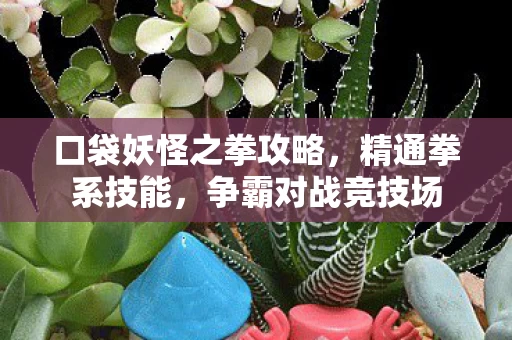口袋妖怪之拳攻略图片