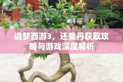 还童丹获取攻略与游戏深度解析图片