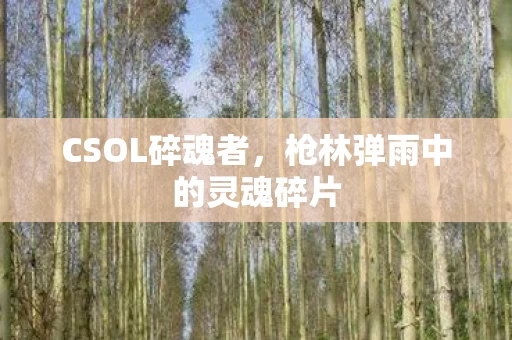 枪林弹雨中的灵魂碎片图片
