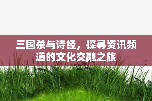 探寻资讯频道的文化交融之旅图片