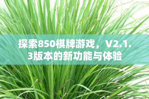 3版本的新功能与体验图片