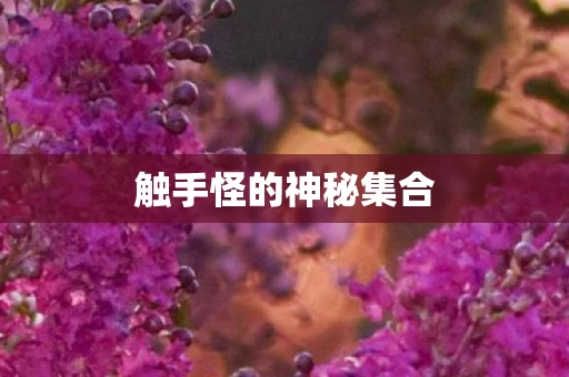 触手怪的神秘集合图片