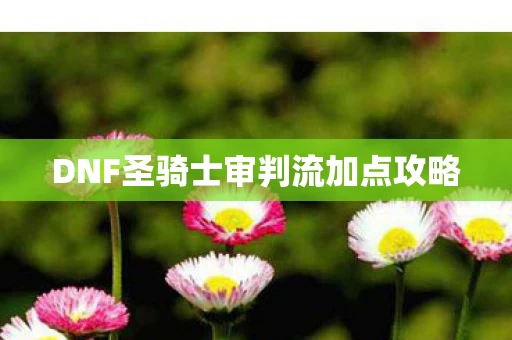 DNF圣骑士审判流加点攻略图片