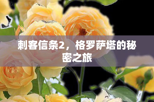 格罗萨塔的秘密之旅图片