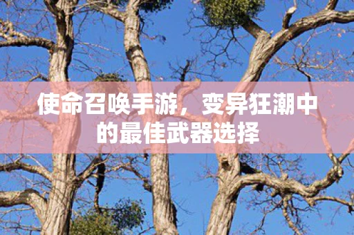 变异狂潮中的最佳武器选择图片