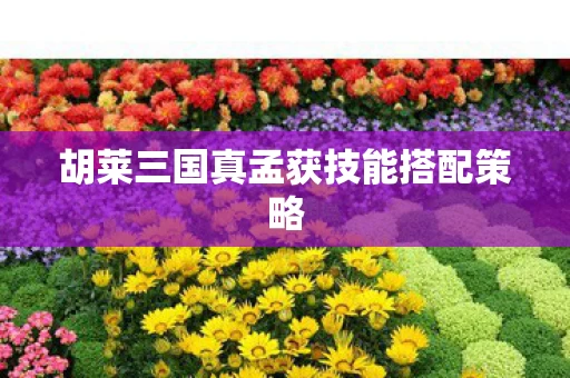 胡莱三国真孟获技能搭配策略图片