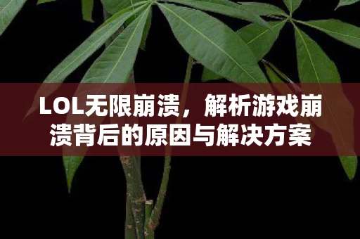 解析游戏崩溃背后的原因与解决方案图片