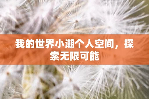 我的世界小潮个人空间图片
