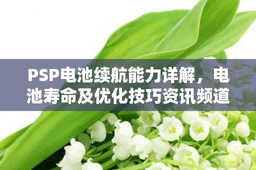 电池寿命及优化技巧资讯频道图片