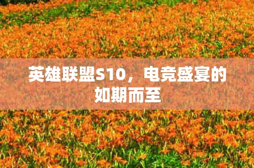 电竞盛宴的如期而至图片