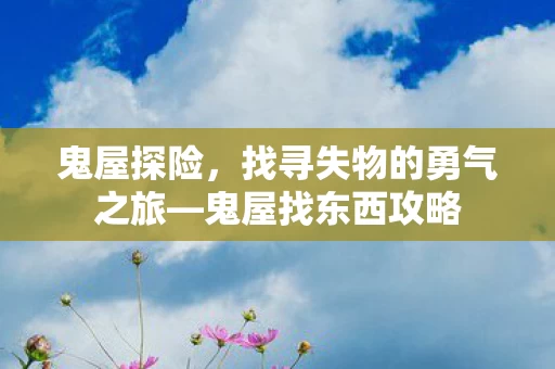 找寻失物的勇气之旅图片