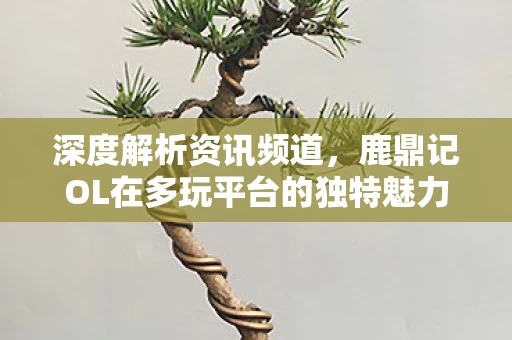 鹿鼎记OL在多玩平台的独特魅力图片