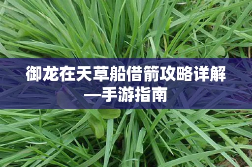 御龙在天草船借箭攻略详解图片