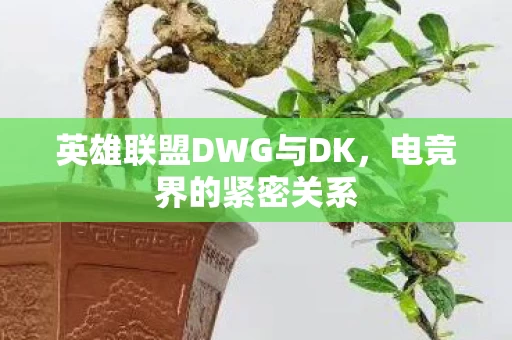 英雄联盟DWG与DK图片