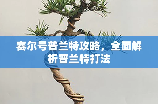 全面解析普兰特打法图片