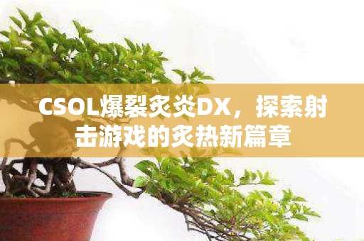 探索射击游戏的炙热新篇章图片