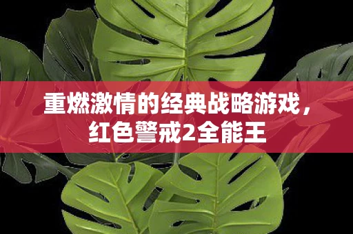 重燃激情的经典战略游戏图片