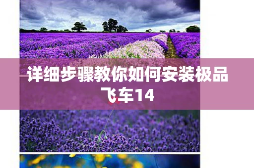 详细步骤教你如何安装极品飞车14图片