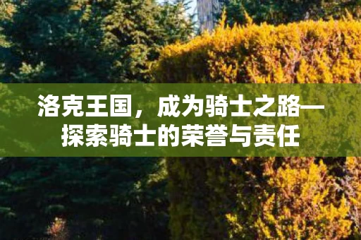 探索骑士的荣誉与责任图片