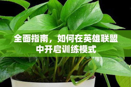 如何在英雄联盟中开启训练模式图片