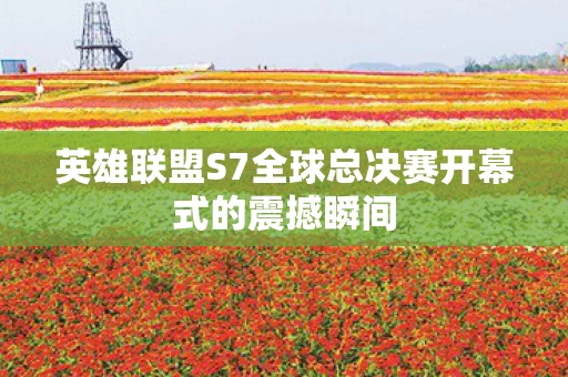 英雄联盟S7全球总决赛开幕式的震撼瞬间图片