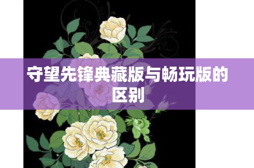 守望先锋典藏版与畅玩版的区别图片