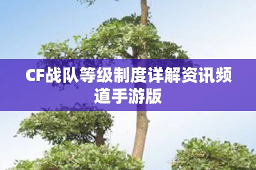 CF战队等级制度详解资讯频道手游版图片
