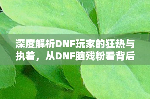 深度解析DNF玩家的狂热与执着图片