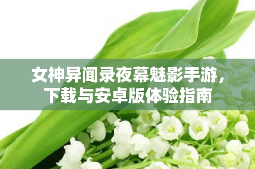 女神异闻录夜幕魅影手游图片