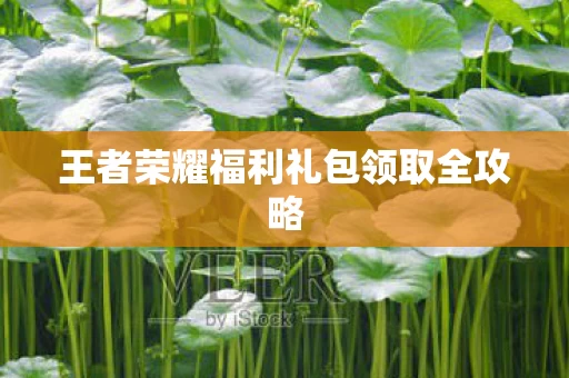 王者荣耀福利礼包领取全攻略图片