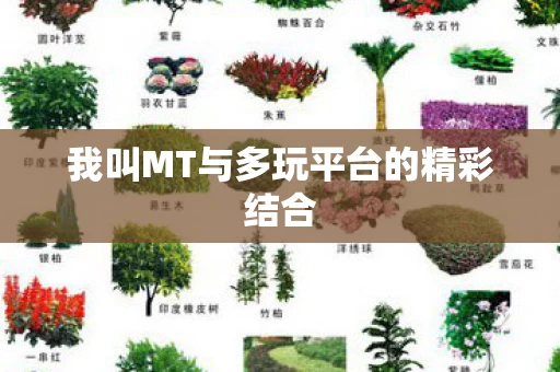 我叫MT与多玩平台的精彩结合图片