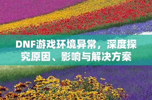 DNF游戏环境异常图片